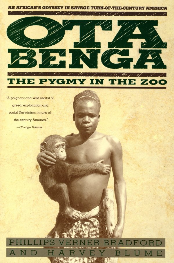 У Конго був знайдений тубілець Ота Бенга, якого зарахували до категорії живого свідоцтва перехідної форми від мавпи до людини