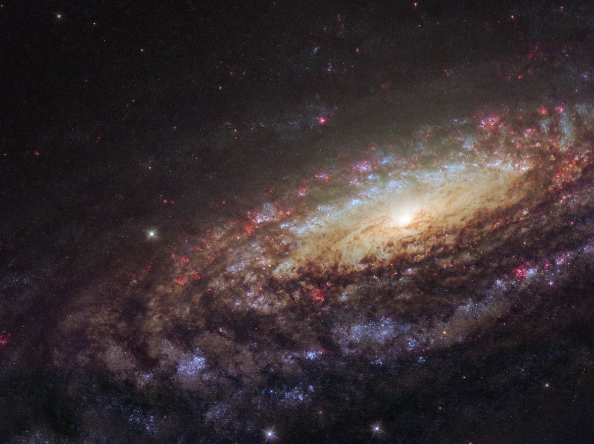 Вчені отримали знімок галактики NGC 7331 і наднової SN2014C за допомогою камери WFC3 на телескопі Хаббл
