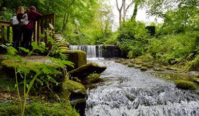 Железнодорожный Рамбл: Балласалла, Рашен Аббатство, Сильвердейл Глен, Гренаби   , Балласалла Оценка: неторопливое расстояние: 11,7 км / 7,32 мили Прогулка по Сильвердейл-Глену на берегу реки, по тихим переулкам, знакомство с историей Рашенского аббатства и красотой открытых сельскохозяйственных угодий