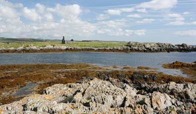 Железнодорожный Рамбл: Каслтаун, Дербихавен, Лангнесс, остров Святого Михаила   , Castletown Grading: неторопливо Расстояние: 7,22 мили Потрясающая прогулка по побережью с историческим фортом и Keeill для интереса