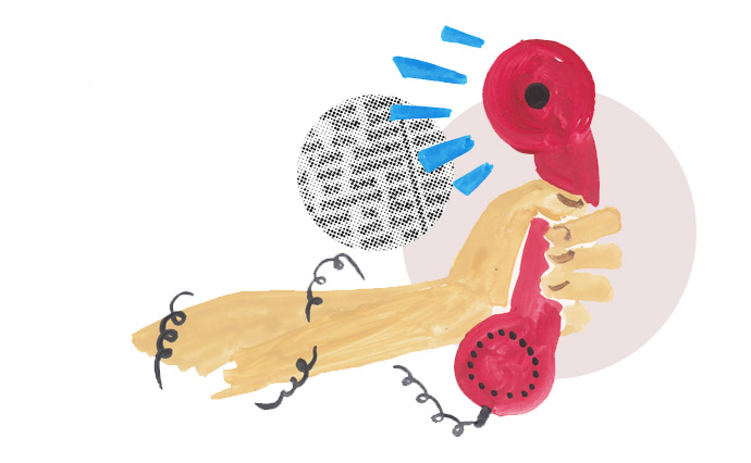 Наприклад, в листопаді 2016 року російський пранкери Володимир Кузнєцов (Вован)   опублікував запис   розмови, на якому він, представившись тодішнім президентом Киргизстану Алмазбеком Атамбаєвим, поспілкувався з Петром Порошенко