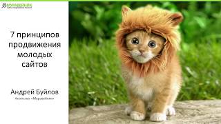 Сео просування молодого сайту