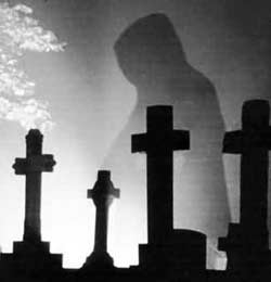 Паранорман Владивосток