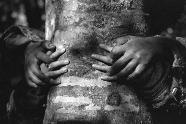 Виглядає це місцями дуже забавно, хоча зрозуміти анічогісінько неможливо