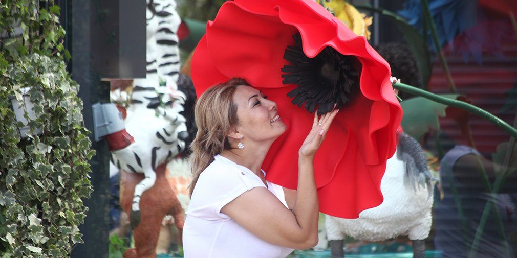 Тут вони дізнаються всі таємниці незвичайного саду