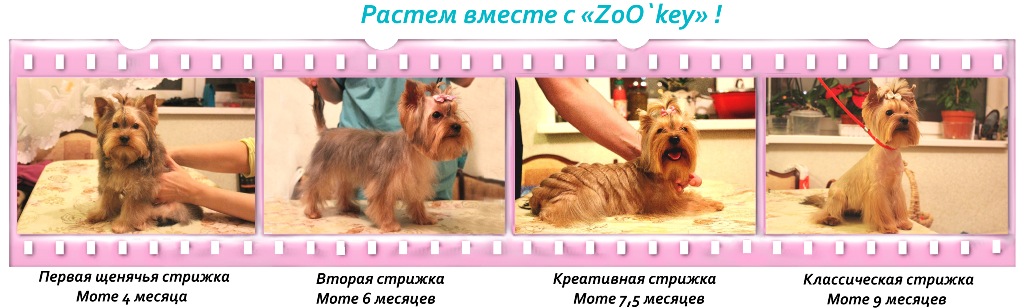 Розділ   Наші ціни
