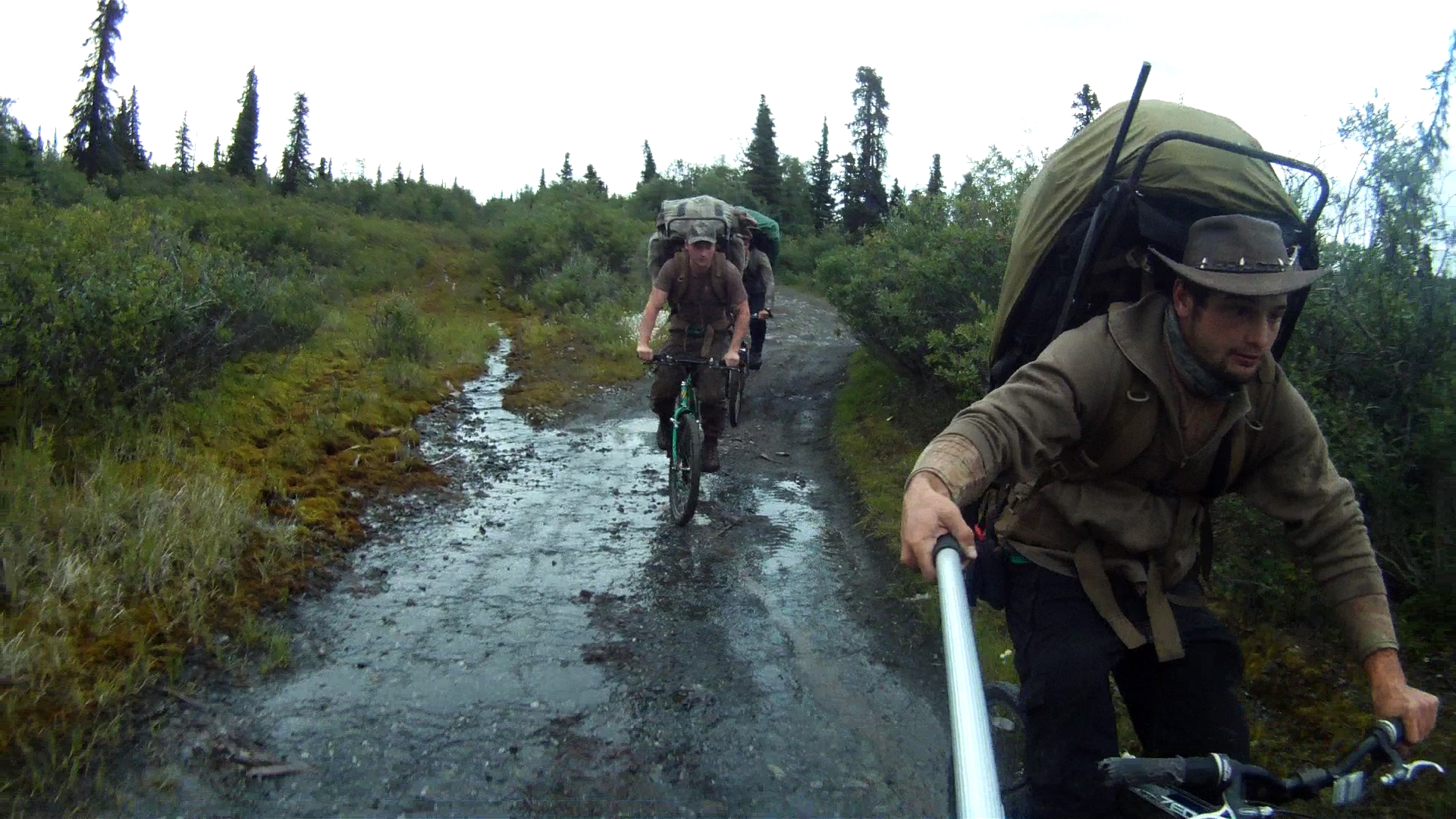 Камера-тростину