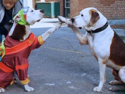 Фільм знятий за мотивами відомого роману Марка Твена Принц і жебрак