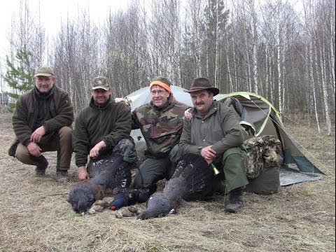 Весняне полювання 2014