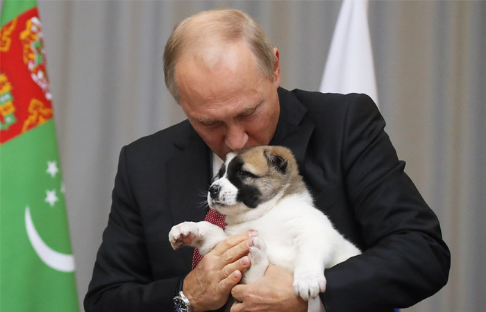 У російського президента вже є дві собаки - болгарська вівчарка і акіта-іну   Президент Росії Володимир Путін з цуценям   Фото: Reuters   Москва