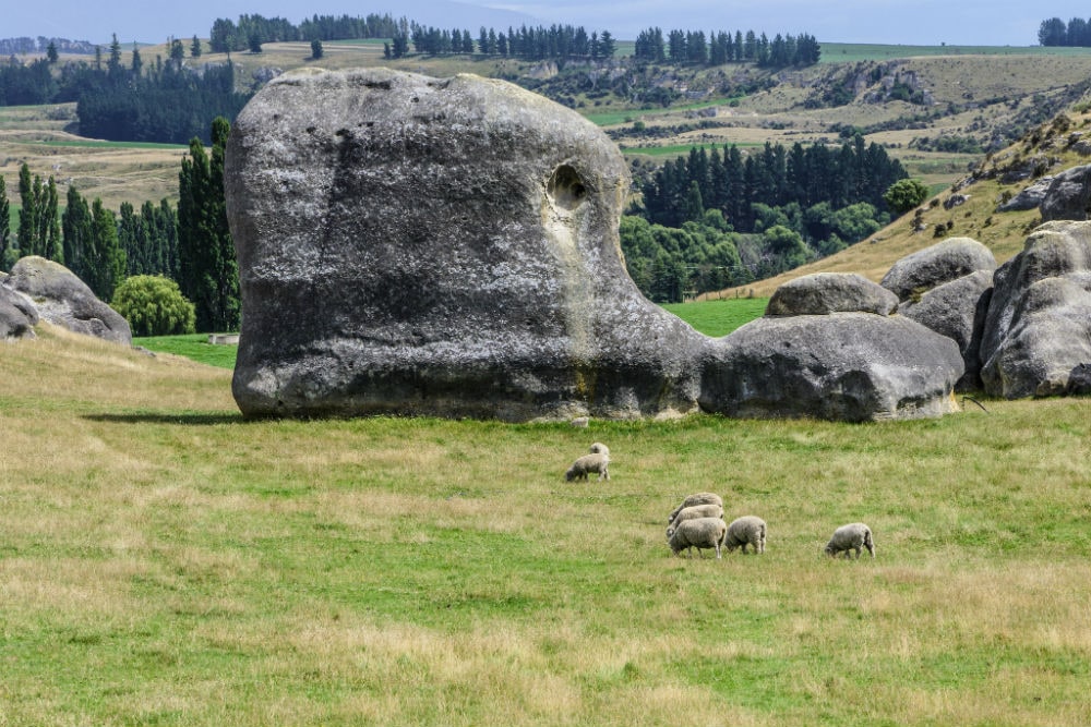 Слонячі гори (Elephant Rocks) в долині Уаїтакі (Waitaki) - табір лева Аслана