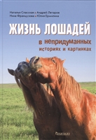 Двокрилі - загін тварин, що добився феноменального успіху: мух і комарів ми зустрічаємо найчастіше від усіх комах