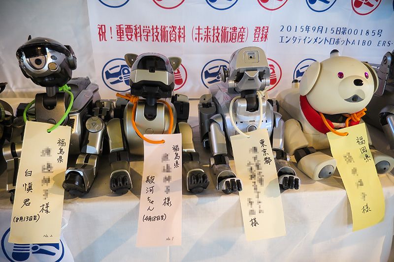 AIBO різних моделей на заупокійної службі (фотографія надана A · FUN / Норімацу Нобуюкі)