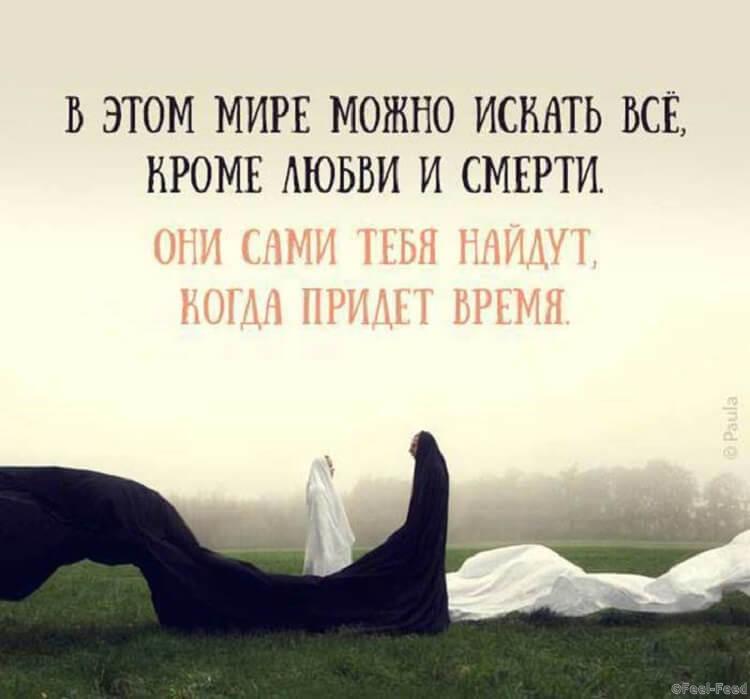 Статуси на всі випадки життя